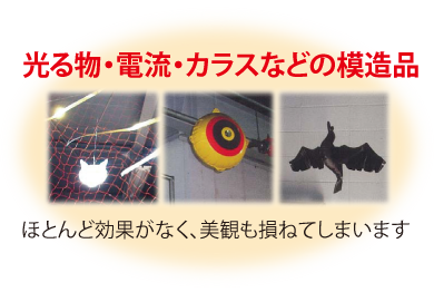 バードフリー 創造設計株式会社 は 広島市で設計 測量調査業務から鳥害防止商品や環境関連商品の販売まで行う設計会社です